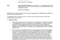 Convertible Loan Agreement Template