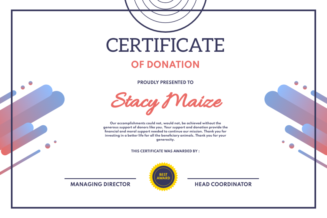 Gradient Donation Certificate  Zertifikat Template