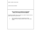 Template For Simulated Automobile Insurance Documentation