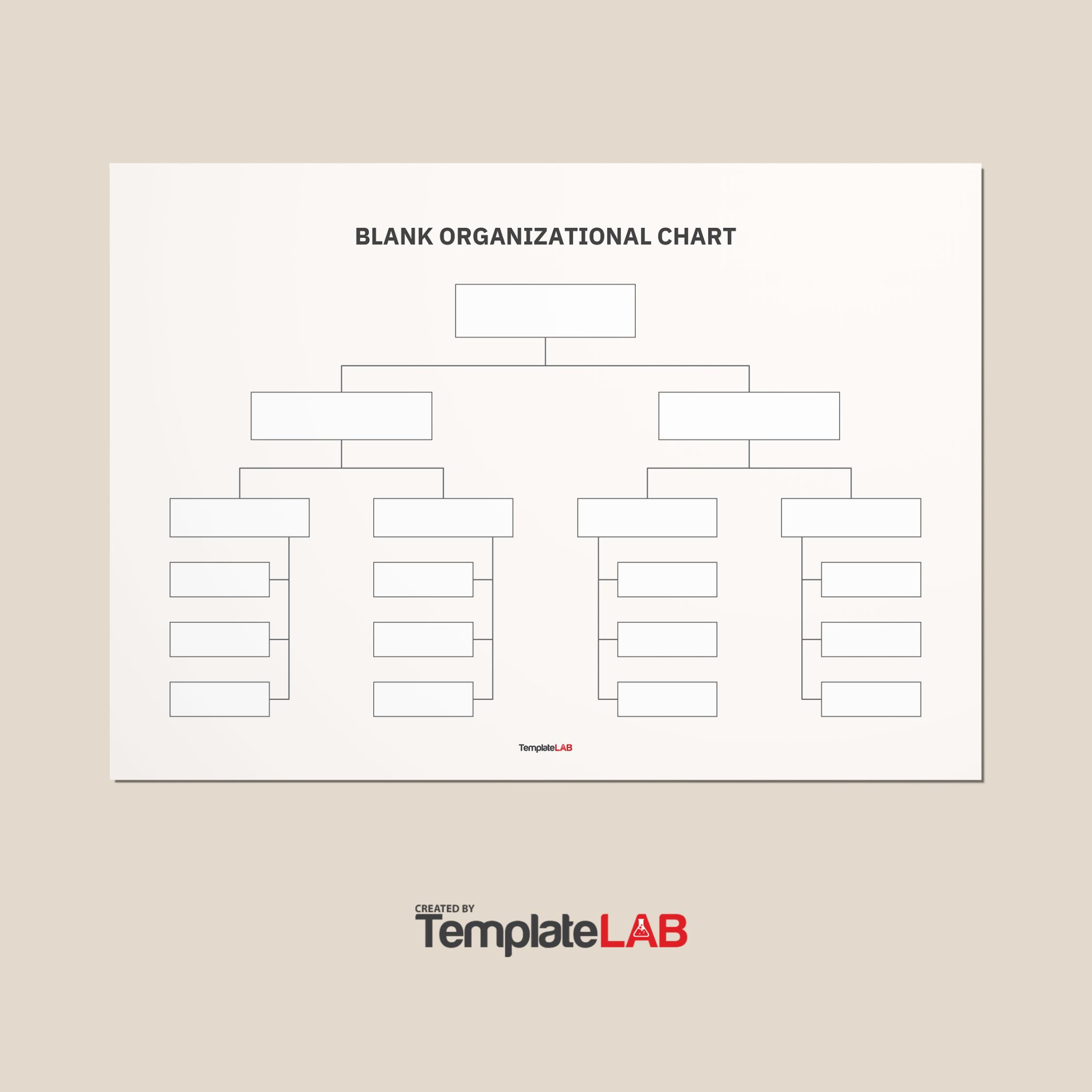 Organizational Chart Templates (Word, Excel, PowerPoint, PSD)