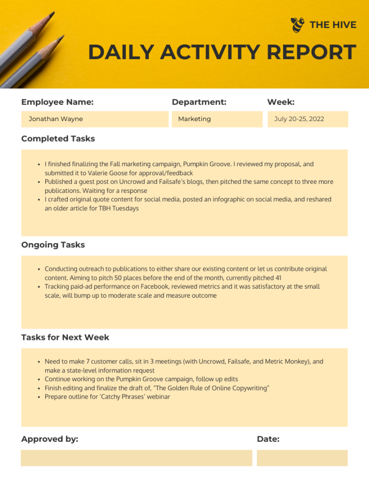 Employee Daily Activity Report Format Template - Venngage