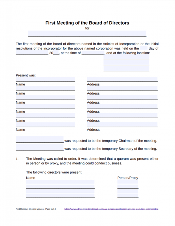 First Directors Meeting Minutes – FREE Template